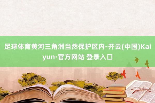 足球体育黄河三角洲当然保护区内-开云(中国)Kaiyun·官方网站 登录入口