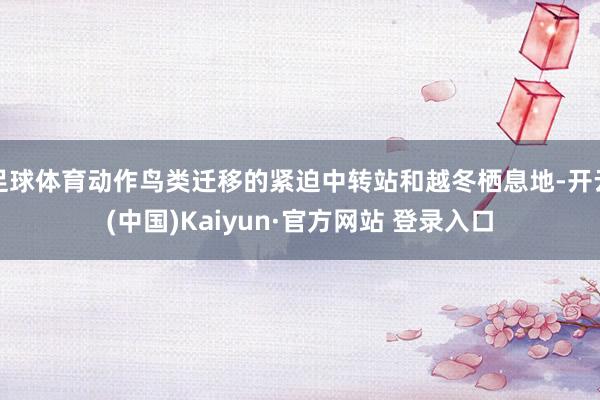 足球体育动作鸟类迁移的紧迫中转站和越冬栖息地-开云(中国)Kaiyun·官方网站 登录入口