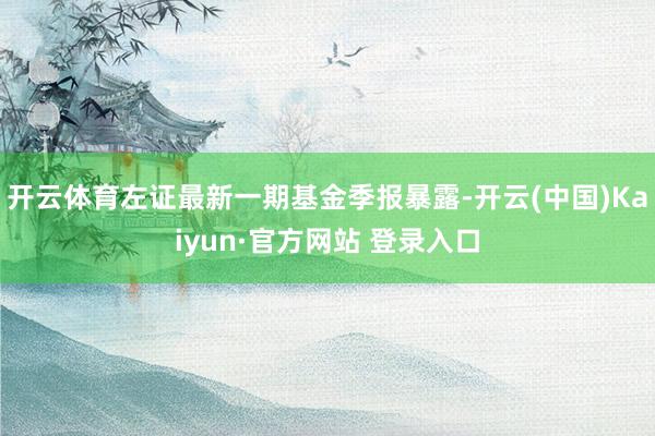 开云体育左证最新一期基金季报暴露-开云(中国)Kaiyun·官方网站 登录入口