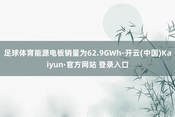 足球体育能源电板销量为62.9GWh-开云(中国)Kaiyun·官方网站 登录入口