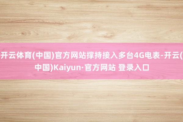 开云体育(中国)官方网站撑持接入多台4G电表-开云(中国)Kaiyun·官方网站 登录入口